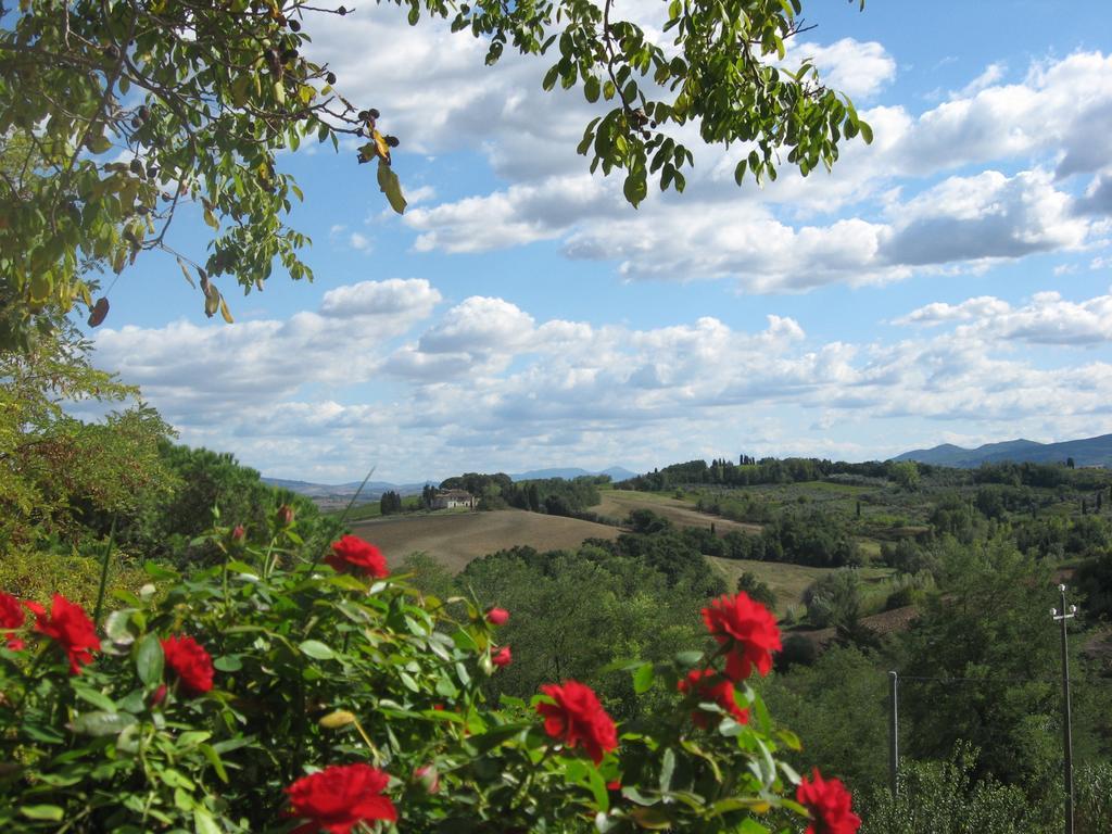 Borgo Fajani Pension Terricciola Buitenkant foto