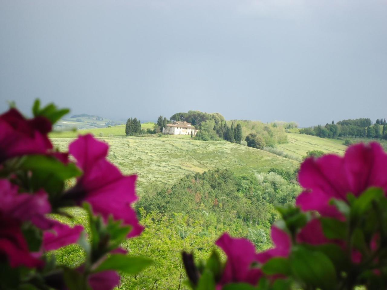 Borgo Fajani Pension Terricciola Buitenkant foto